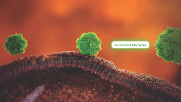 Targeted Cell AAV Delivery Preview