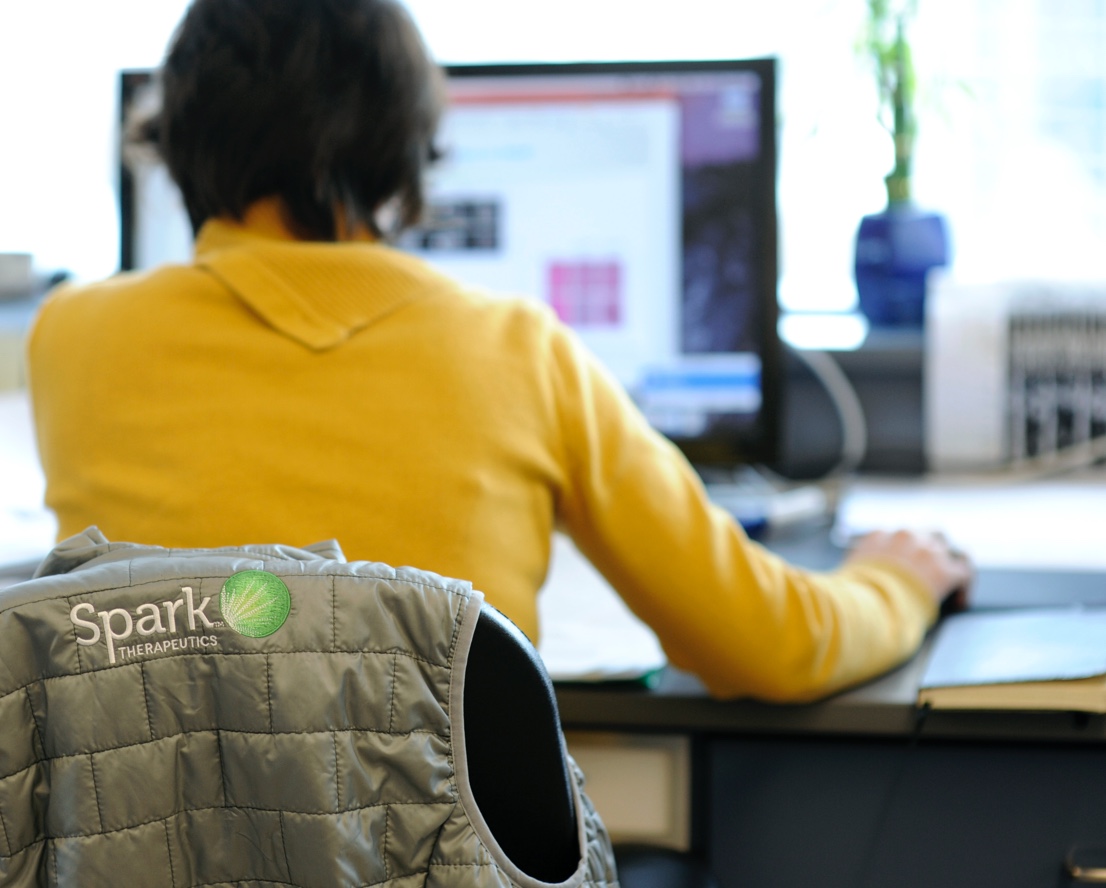 Rear view of Spark Therapeutics Medical Affairs team member sitting at a desk and working on a computer